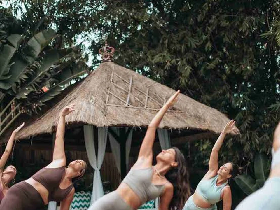 Yoga & wellness